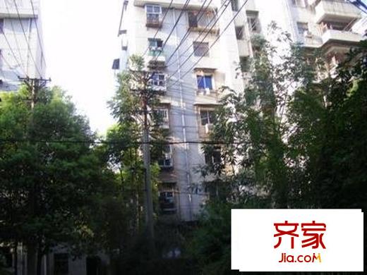 水仙里外景圖 