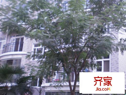 華城廣場(chǎng)外景圖 
