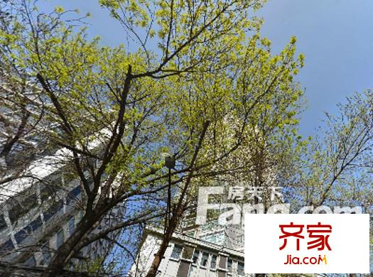 雅典金座外景圖太原  