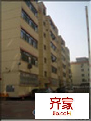 杏林四條外貿(mào)宿舍外景圖桃園三巷杏林四條省外貿(mào)宿舍5