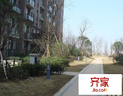 長江紫都外景圖 