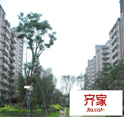 長江紫都外景圖 