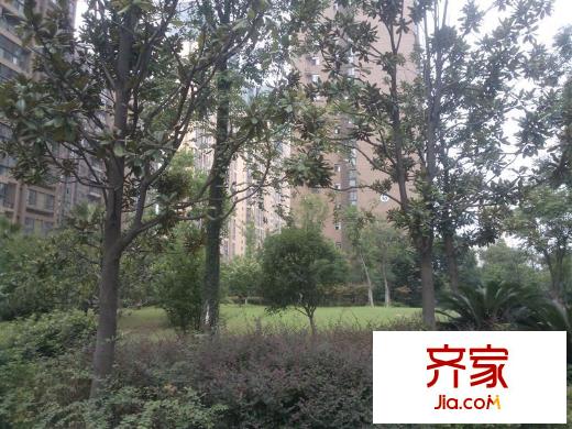 南湖名都外景圖