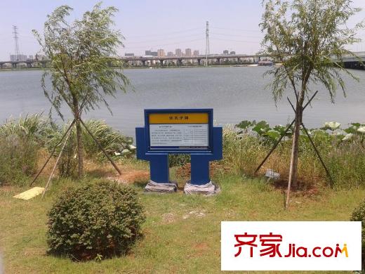 金色港灣雙湖泊岸周邊太子湖公園