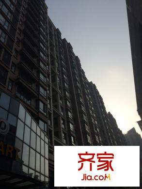 大華南湖公園世家外景圖 