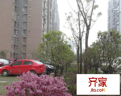 麗華苑外景圖