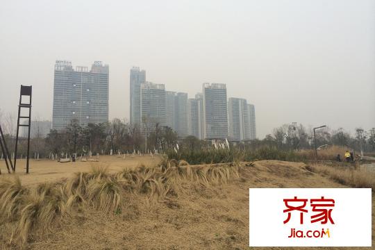 純水岸?東湖小區(qū)湖岸綠化實(shí)景（20150319）