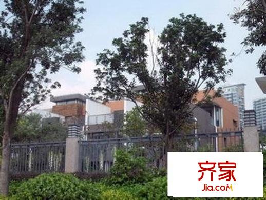 水岸星城B區(qū)