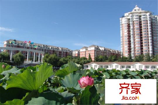 海濱城二期麗港新都遠眺整個小區(qū)（2015.4.24）