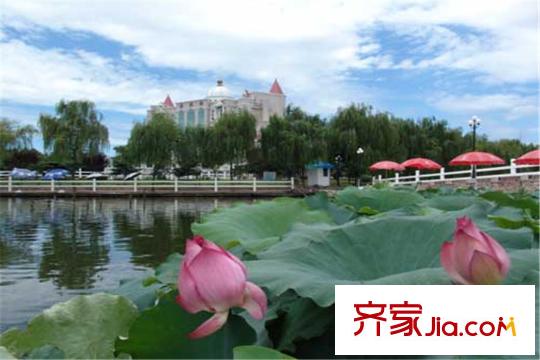 海濱城二期麗港新都周邊荷花池