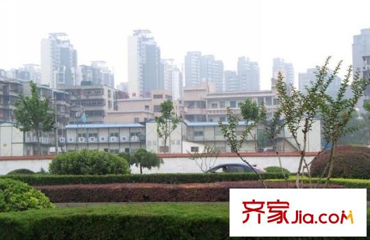 葛洲壩國際廣場周邊綠化