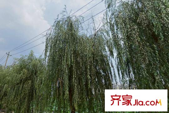 中南國際城二期周邊內(nèi)湖公園