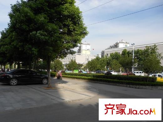 星悅城黃金時代周邊馬路綠蔭