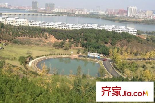 龍?jiān)窞懓吨苓叢佚垗u濕地公園俯瞰