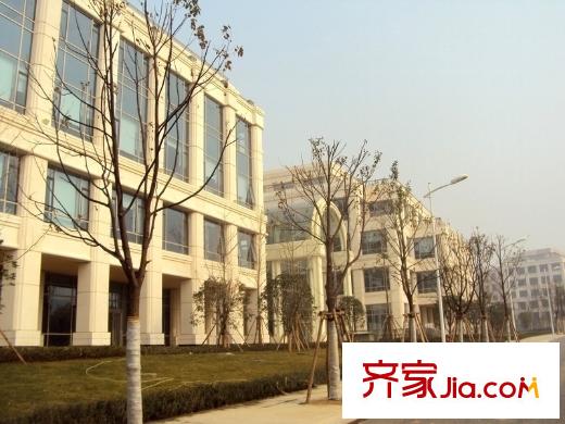 碧桂園生態(tài)城別墅周邊軟件新城一期