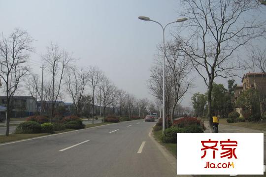 碧桂園生態(tài)城別墅別墅外路面（20150330）