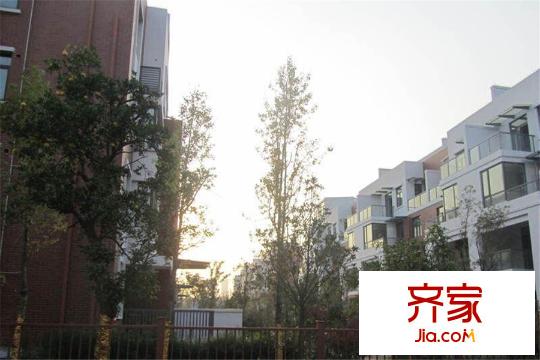 絲寶第三街小區(qū)綠化（2015.3.19）