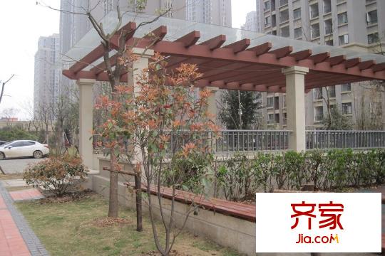 觀瀾國(guó)際