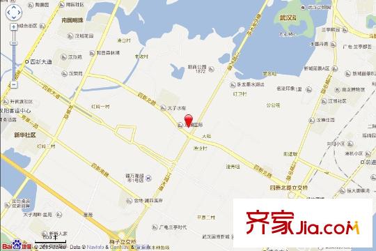 觀瀾國(guó)際電子地圖