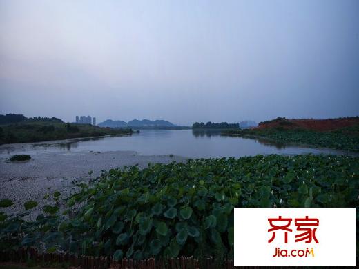 綠地美湖湖景（20140723）