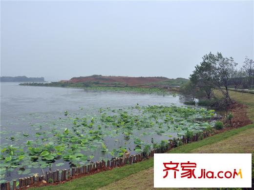 綠地美湖周邊湖泊