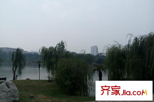 光谷自由城周邊中南財經(jīng)政法大學美景