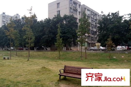 光谷自由城周邊中南財經(jīng)政法大學休閑椅