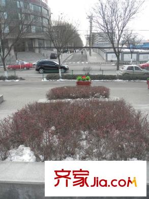 藝彩藍(lán)灣配套圖周邊五龍花園