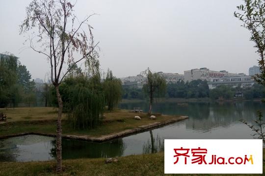光谷自由城周邊中南財經(jīng)政法大學湖面景色