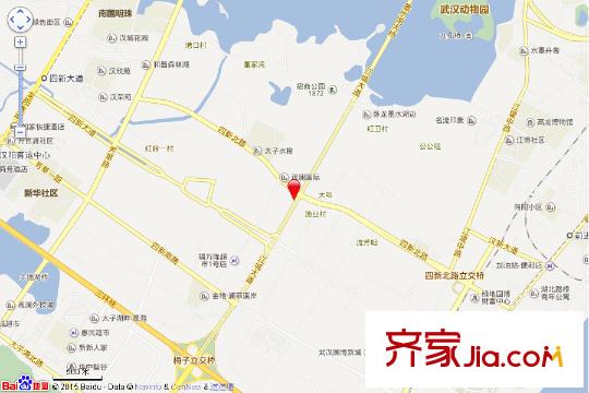 星光國(guó)際電子地圖