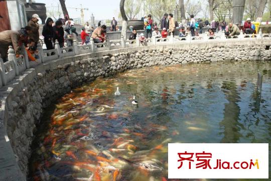 鴻平方米龍?zhí)豆^配套圖周邊龍?zhí)豆珗@