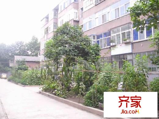 果品公司宿舍外景圖 