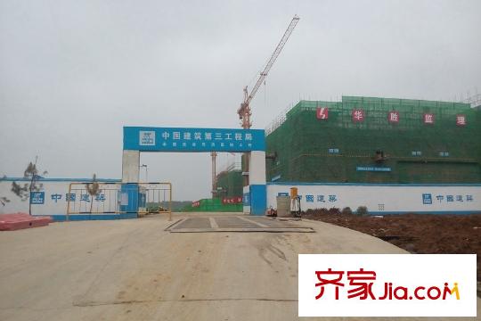 桃花源周邊在建光谷同濟(jì)醫(yī)院