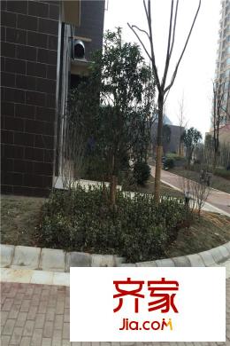 龍臺(tái)二期桃源小區(qū)內(nèi)部景觀（2015.5.5）