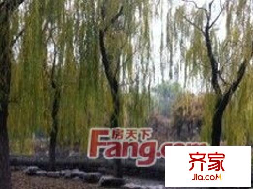 龍?zhí)队盎▓@