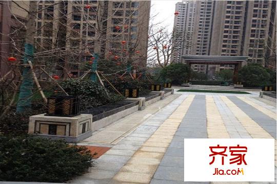 平安光谷春天景觀帶（20150310）