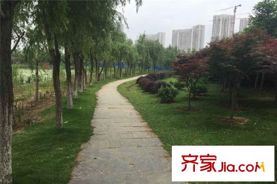 學(xué)府麗城周邊綠化道