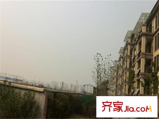 學(xué)府麗城周邊金橋普林斯頓小區(qū)