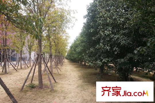 越秀星匯君泊周邊市民之家園林