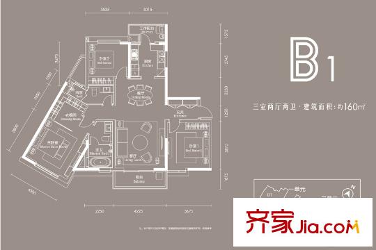武漢天地盛薈B1戶型 3室2廳2衛(wèi)1廚