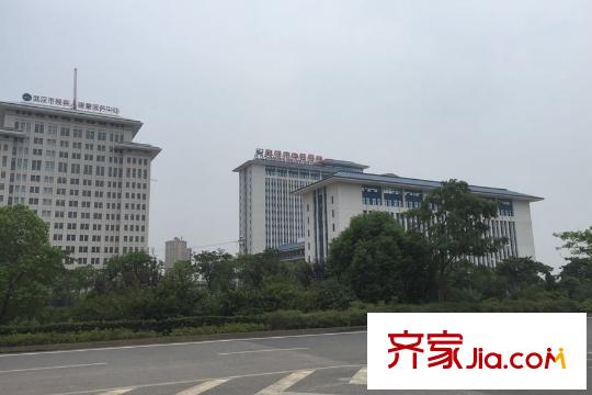綠地悅瀾灣周邊武漢中醫(yī)院