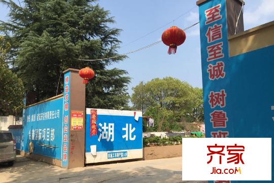 金鑫國際