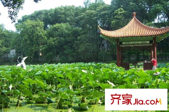 金鑫國際周邊華中科技大學(xué)荷花池