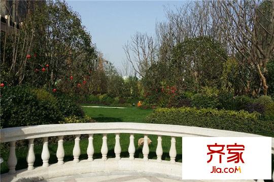 農(nóng)房上海公館小區(qū)環(huán)境局部(20150327)