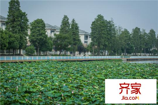 新世界夢湖香郡湖面風(fēng)景（20150808）