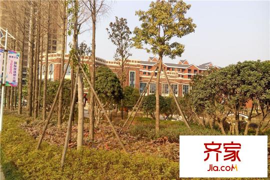 聯(lián)投漢口郡電梯洋房綠化（2015-03-12）