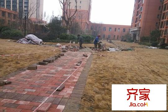 佳兆業(yè)金域天下二期綠化建設(shè)（20150320）
