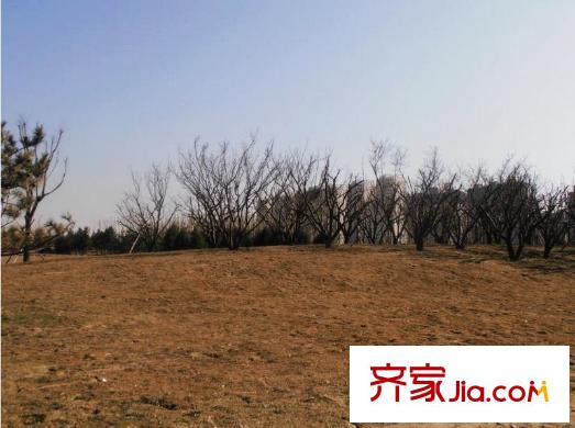 長(zhǎng)風(fēng)東社配套圖周邊公園