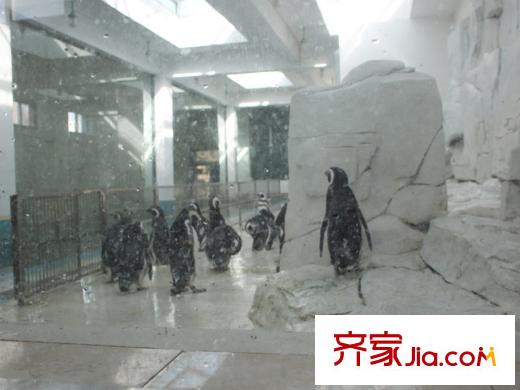 寶地家園配套圖周邊動物園
