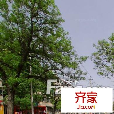杏花嶺檢察院宿舍外景圖太原  